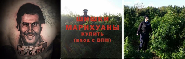 винт Аркадак