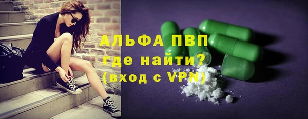 прущие грибы Медвежьегорск