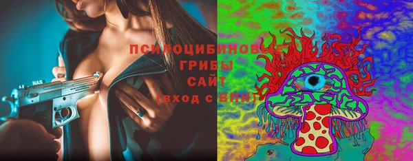 СК Арсеньев