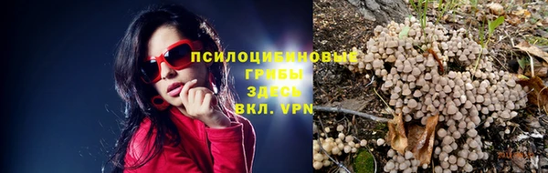 дживик Армянск