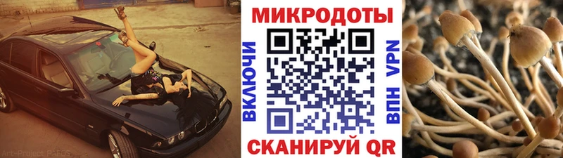 кракен вход  где продают   Грязи  Псилоцибиновые грибы Psilocybe 